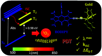 Graphical abstract: Theoretical insight into joint photodynamic action of a gold(i) complex and a BODIPY chromophore for singlet oxygen generation