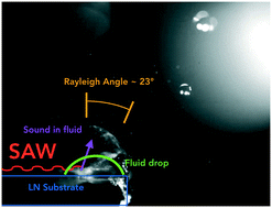 Graphical abstract: Micro/nano acoustofluidics: materials, phenomena, design, devices, and applications