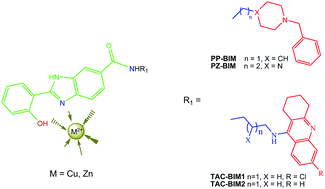 Graphical abstract: Exploring the chelating capacity of 2-hydroxyphenyl-benzimidazole based hybrids with multi-target ability as anti-Alzheimer's agents