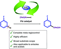 Graphical abstract: meta-C–H arylation of fluoroarenes via traceless directing group relay strategy