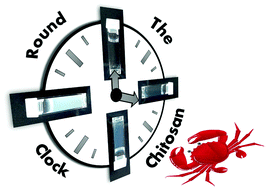 Graphical abstract: Controlled formation of chitosan particles by a clock reaction