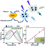 Graphical abstract: Synthesis of catalytically active peroxidase-like Fe-doped carbon dots and application in ratiometric fluorescence detection of hydrogen peroxide and glucose