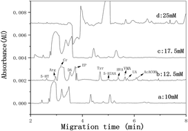 Graphical abstract: Analysis of neurochemicals by capillary electrophoresis in athletes' urine and a pilot study of their changes responding to sport fatigue