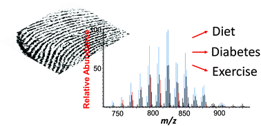 Graphical abstract: Potential of triacylglycerol profiles in latent fingerprints to reveal individual diet, exercise, or health information for forensic evidence