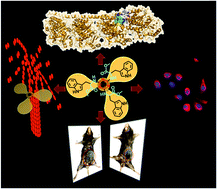 Graphical abstract: Tripodal molecular propellers perturb microtubule dynamics: indole acts as a blade and plays a crucial role in anticancer activity