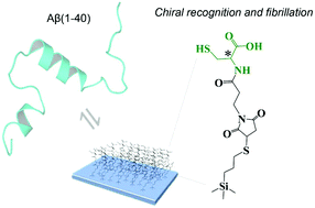 Graphical abstract: Unravelling the mechanism of amyloid-β peptide oligomerization and fibrillation at chiral interfaces