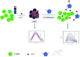 Graphical abstract: A novel sulfur quantum dot for the detection of cobalt ions and norfloxacin as a fluorescent “switch”