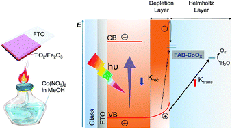 Graphical abstract: Electrochemical and photoelectrochemical water splitting with a CoOx catalyst prepared by flame assisted deposition