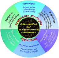 Graphical abstract: Preparation and applications of electrochemical chemosensors based on carbon-nanomaterial-modified molecularly imprinted polymers