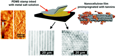 Graphical abstract: Functionalization and patterning of nanocellulose films by surface-bound nanoparticles of hydrolyzable tannins and multivalent metal ions