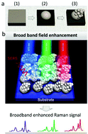 Graphical abstract: Broadband SERS detection with disordered plasmonic hybrid aggregates