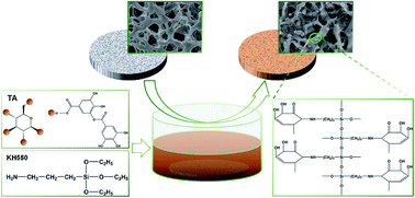 Graphical abstract: Superoleophobic micro-nanostructure surface formation of PVDF membranes by tannin and a condensed silane coupling agent