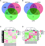 Graphical abstract: Screening of molecular targets and construction of a ceRNA network for oxaliplatin resistance in colorectal cancer