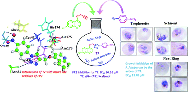 Graphical abstract: Quinoline-triazole hybrids inhibit falcipain-2 and arrest the development of Plasmodium falciparum at the trophozoite stage