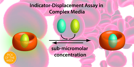 Graphical abstract: Rational design and implementation of a cucurbit[8]uril-based indicator-displacement assay for application in blood serum