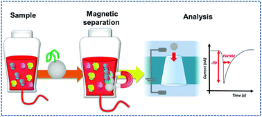 Graphical abstract: Rapid quantification of prion proteins using resistive pulse sensing