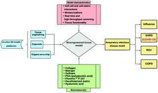 Graphical abstract: The role of biomaterials and three dimensional (3D) in vitro tissue models in fighting against COVID-19