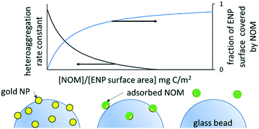 Graphical abstract: Natural organic matter surface coverage as a predictor of heteroaggregation between nanoparticles and colloids