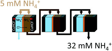 Graphical abstract: Stepwise ammonium enrichment using selective battery electrodes