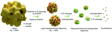 Graphical abstract: The conversion of a high concentration of lignin to cyclic alkanes by introducing Pt/HAP into a Ni/ASA catalyst