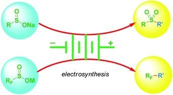 Graphical abstract: Chemistry of electrochemical oxidative reactions of sulfinate salts