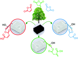 Graphical abstract: Interface tailoring by a versatile functionalization platform for nanostructured wood biocomposites