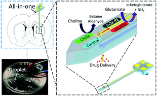 Graphical abstract: An implantable multifunctional neural microprobe for simultaneous multi-analyte sensing and chemical delivery