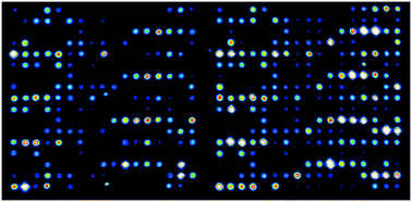 Graphical abstract: A modular microarray imaging system for highly specific COVID-19 antibody testing