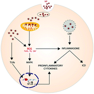 Graphical abstract: Biomedical nanomaterials for immunological applications: ongoing research and clinical trials