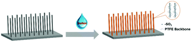 Graphical abstract: Promoting CO2 electroreduction on CuO nanowires with a hydrophobic Nafion overlayer