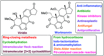 Graphical abstract: Recent progress in the synthesis of the furanosteroid family of natural products