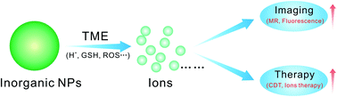 Graphical abstract: Tumor microenvironment triggered biodegradation of inorganic nanoparticles for enhanced tumor theranostics