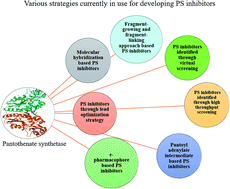 Graphical abstract: Inhibitors of pantothenate synthetase of Mycobacterium tuberculosis – a medicinal chemist perspective