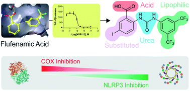 Graphical abstract: Selective inhibition of the K+ efflux sensitive NLRP3 pathway by Cl− channel modulation