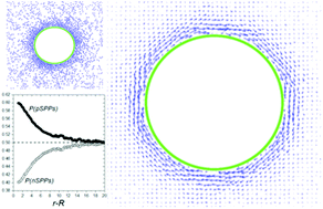 Graphical abstract: Vortex formation of spherical self-propelled particles around a circular obstacle