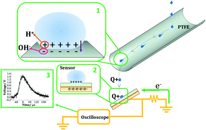 Graphical abstract: Liquid–polymer triboelectricity: chemical mechanisms in the contact electrification process