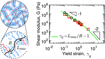 Graphical abstract: Molecular understanding for large deformations of soft bottlebrush polymer networks