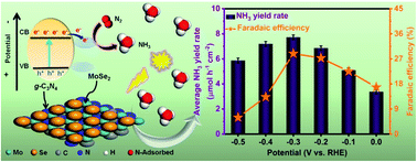 Graphical abstract: Photoelectrochemical reduction of N2 to NH3 under ambient conditions through hierarchical MoSe2@g-C3N4 heterojunctions