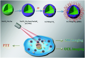 Graphical abstract: Nanostructures based on vanadium disulfide growing on UCNPs: simple synthesis, dual-mode imaging, and photothermal therapy