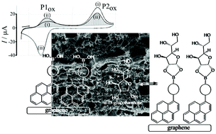 Graphical abstract: Polymer indicator displacement assay: electrochemical glucose monitoring based on boronic acid receptors and graphene foam competitively binding with poly-nordihydroguaiaretic acid