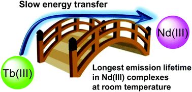 Graphical abstract: Long-lived emission beyond 1000 nm: control of excited-state dynamics in a dinuclear Tb(iii)–Nd(iii) complex