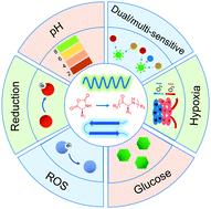 Graphical abstract: Stimuli-responsive polypeptides for controlled drug delivery