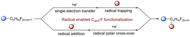 Graphical abstract: Recent advances in radical enabled selective Csp3–F bond activation of multifluorinated compounds