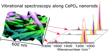 Graphical abstract: Tuning the structure of cerium phosphate nanorods