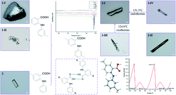 Graphical abstract: Double substitution leads to a highly polymorphic system in 5-methyl-2-m-tolylamino-benzoic acid