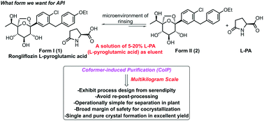 Graphical abstract: Simple and effective purification of a SGLT-2 inhibitor cocrystal Rongliflozin l-pyroglutamic acid: coformer-induced purification