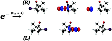 Graphical abstract: Anion states of halocamphor molecules: insights into chirally sensitive dissociative electron attachment
