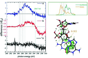 Graphical abstract: Intramolecular hydrogen transfer in DNA induced by site-selective resonant core excitation