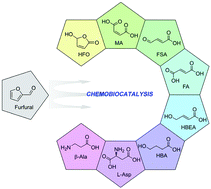 Graphical abstract: A plug-and-play chemobiocatalytic route for the one-pot controllable synthesis of biobased C4 chemicals from furfural