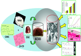 Graphical abstract: Synthesis and characterization of β-cyclodextrin/carboxymethyl chitosan/hydroxyapatite fused with date seed extract nanocomposite scaffolds for regenerative bone tissue engineering